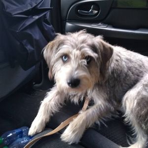 Meet your Posher, Max marie